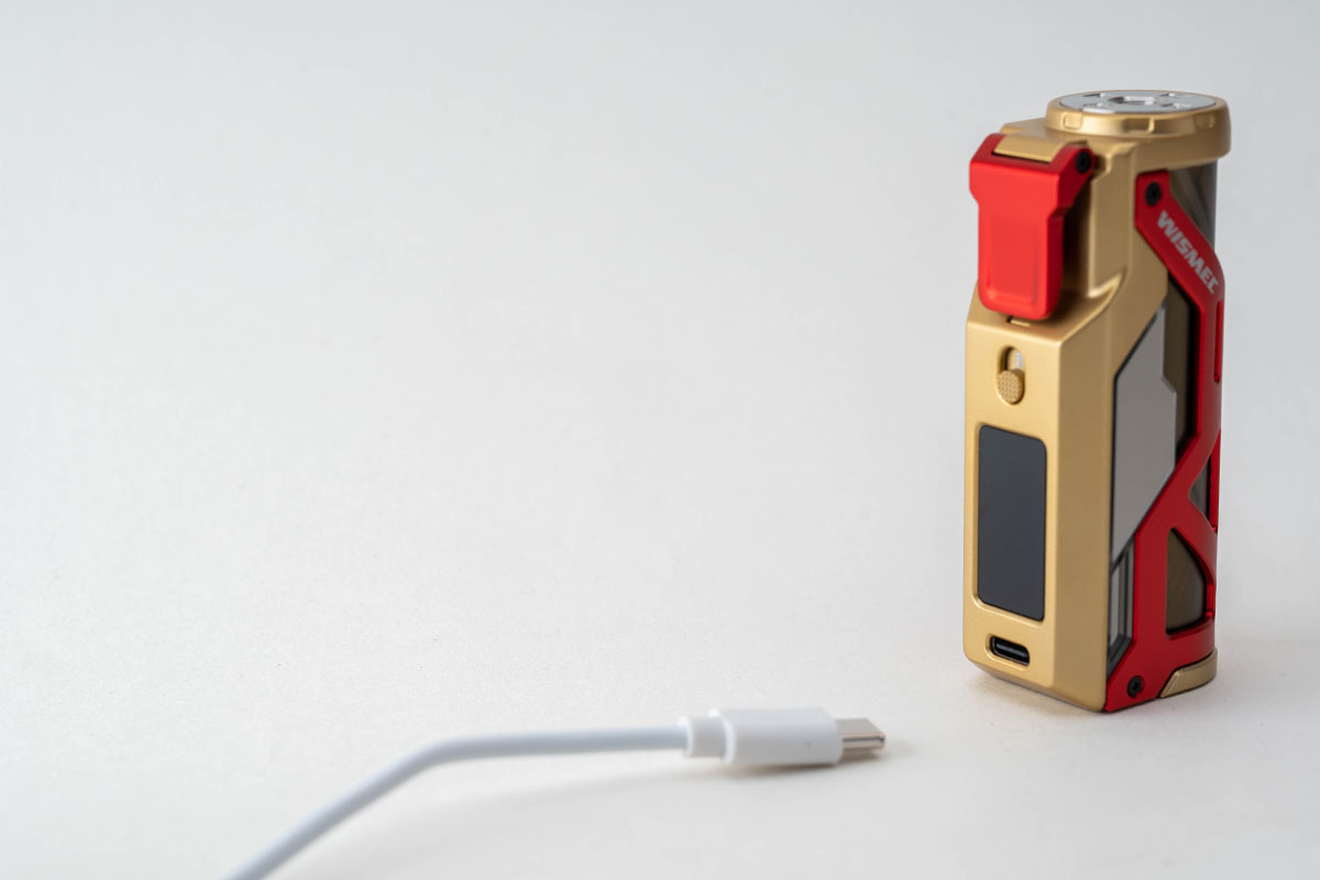 WISMEC REULEAUX RX G MOD（ウィスメック ルーローRX3）レビュー